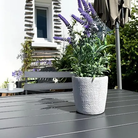 Nos Iles بيت للعطل