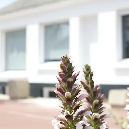 Nos Iles Vakantiehuis