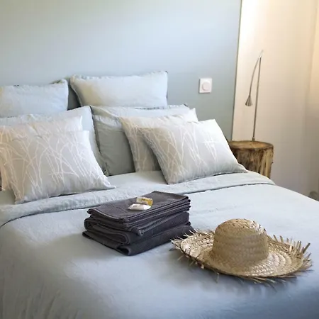 Nos Iles Saint-Jean-de-Monts