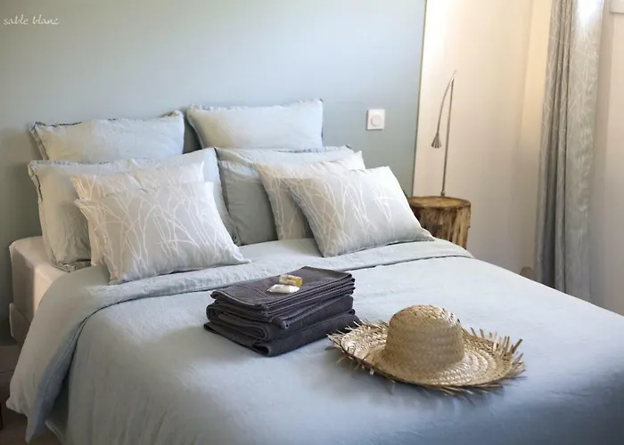 Nos Iles Saint-Jean-de-Monts